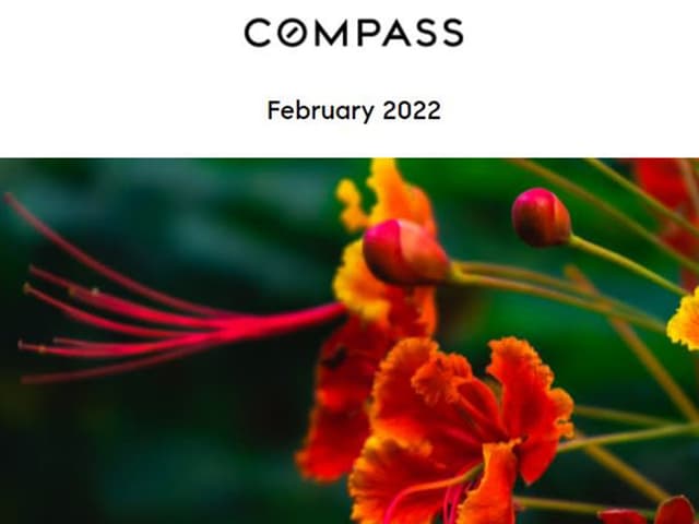 February 2022 | BIG ISLAND NEWSLETTER