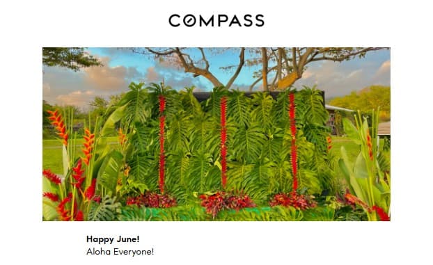 June 2022 Hawaii Big Island Style Newsletter