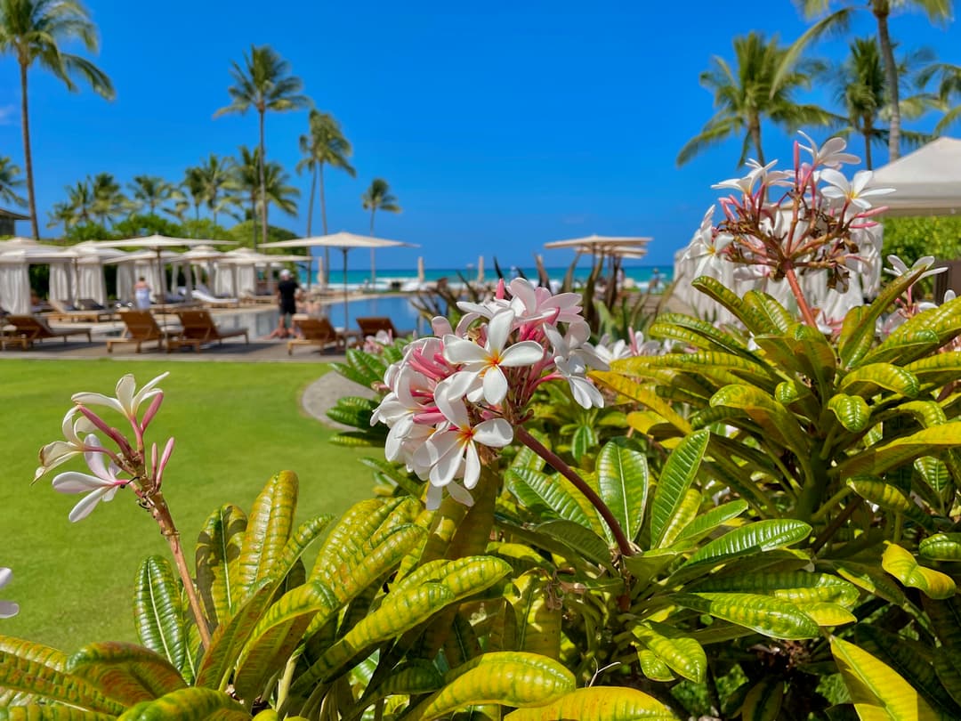 What NAR’s Clear Cooperation Policy Changes Mean for Big Island Home Sellers