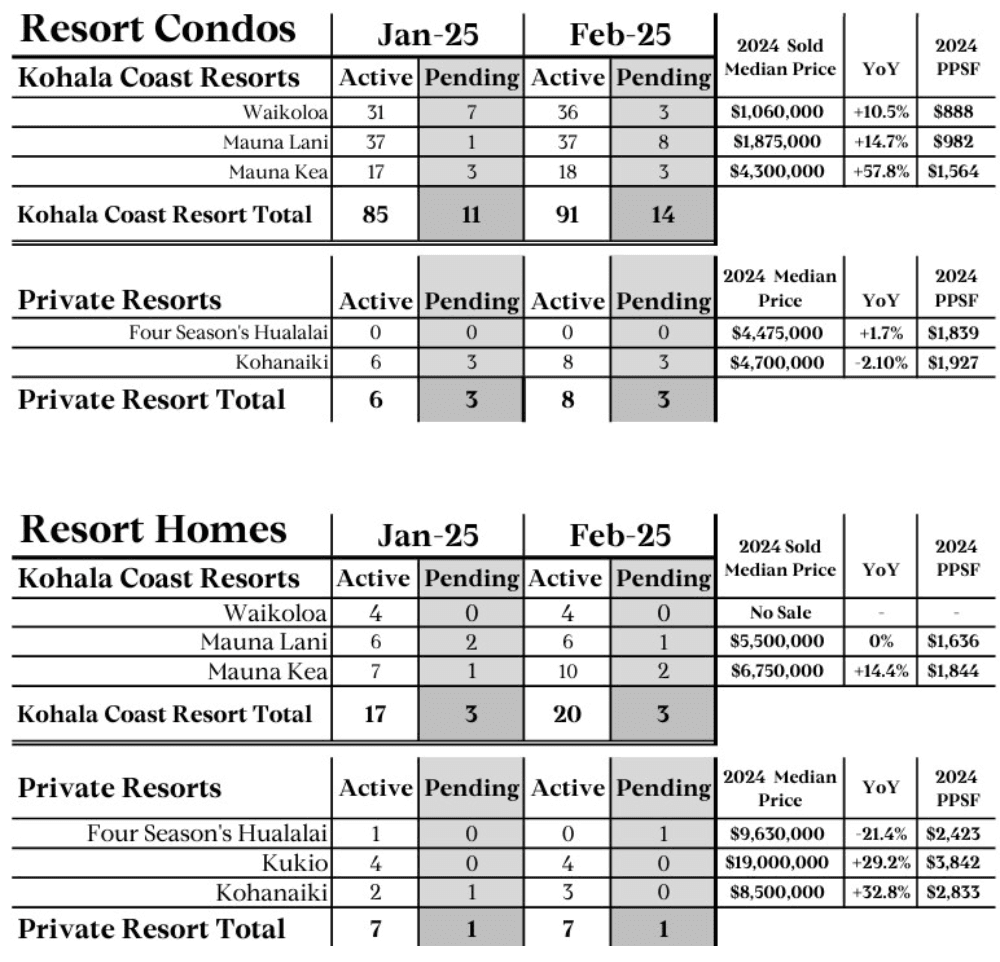 Big Island Real Estate Market Update – February 2025
