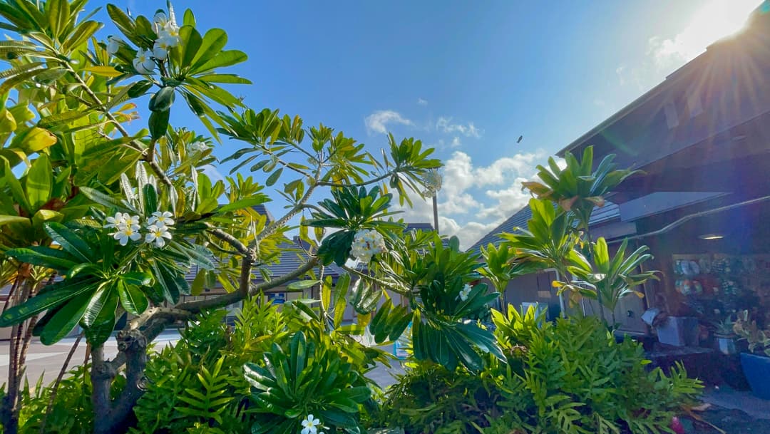 KOA: Hawaii’s Only Open-Air International Gateway