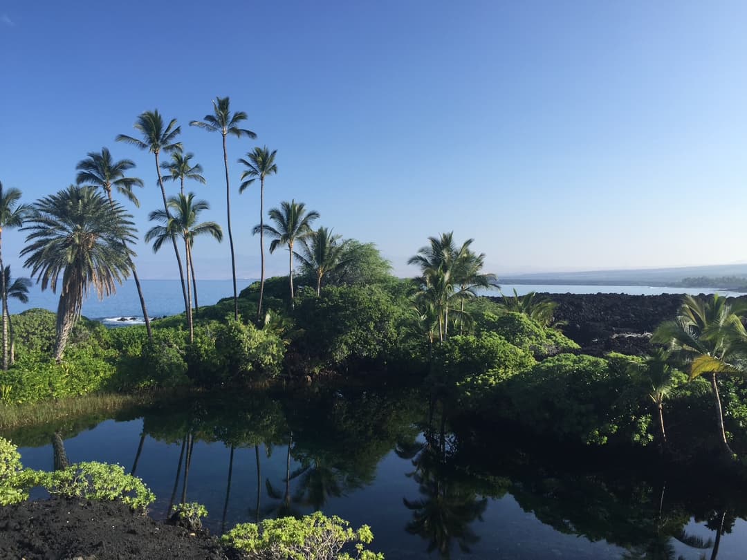 What Is Luxury? A Big Island Perspective