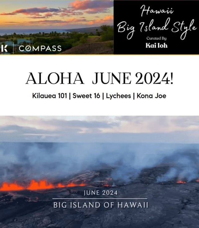 June 2024 Big Island Style Newsletter