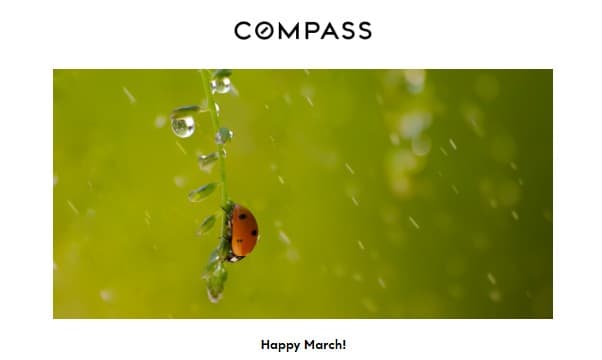 March 2022 Hawaii Big Island Style Newsletter
