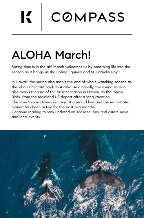 March 2023 Hawaii Big Island Style Newsletter