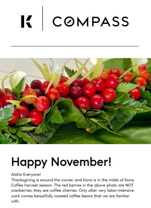 November 2022 Hawaii Big Island Style Newsletter