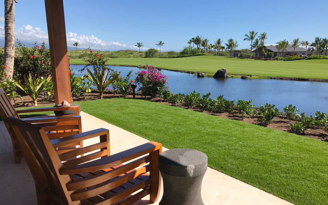 Buying a Home in Hawaii? Let’s Talk Honestly About Termites