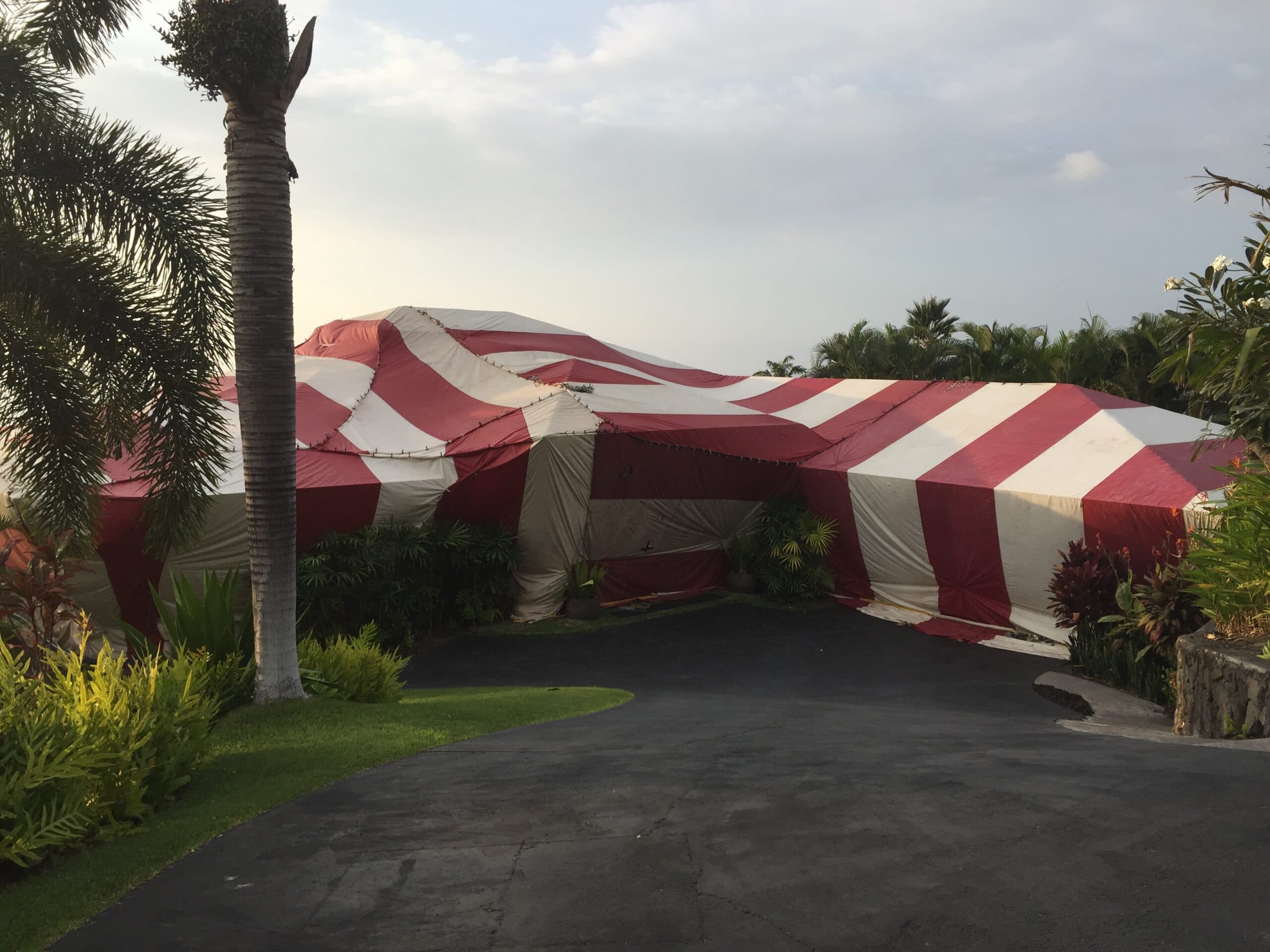 Buying a Home in Hawaii? Let’s Talk Honestly About Termites