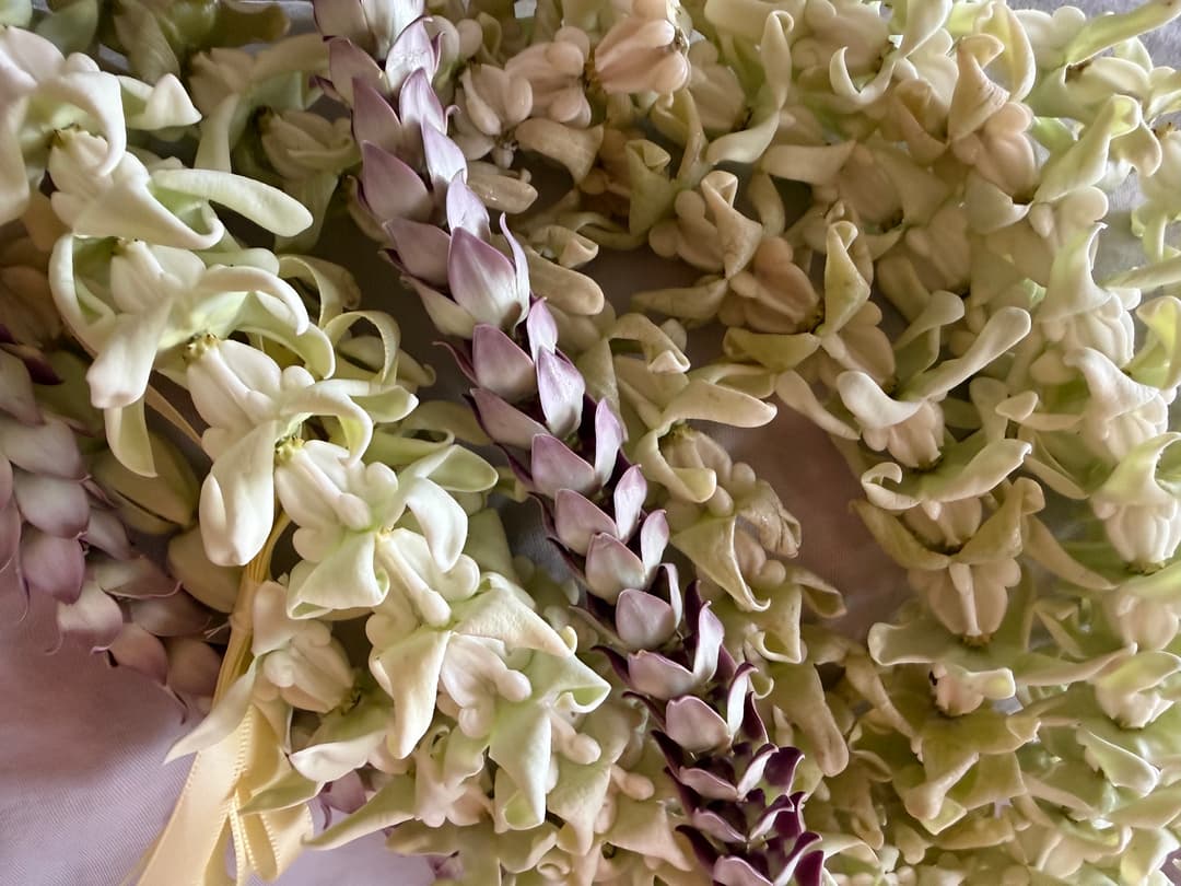 Why Leis in Hawaii Are So Much More Than Flowers