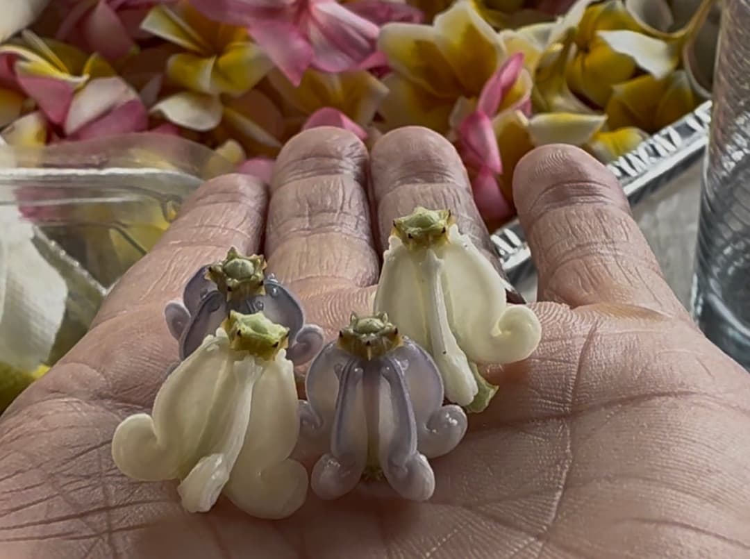 A Lei Is Never Just Flowers: Hawaiian Lei Etiquette and Meaning