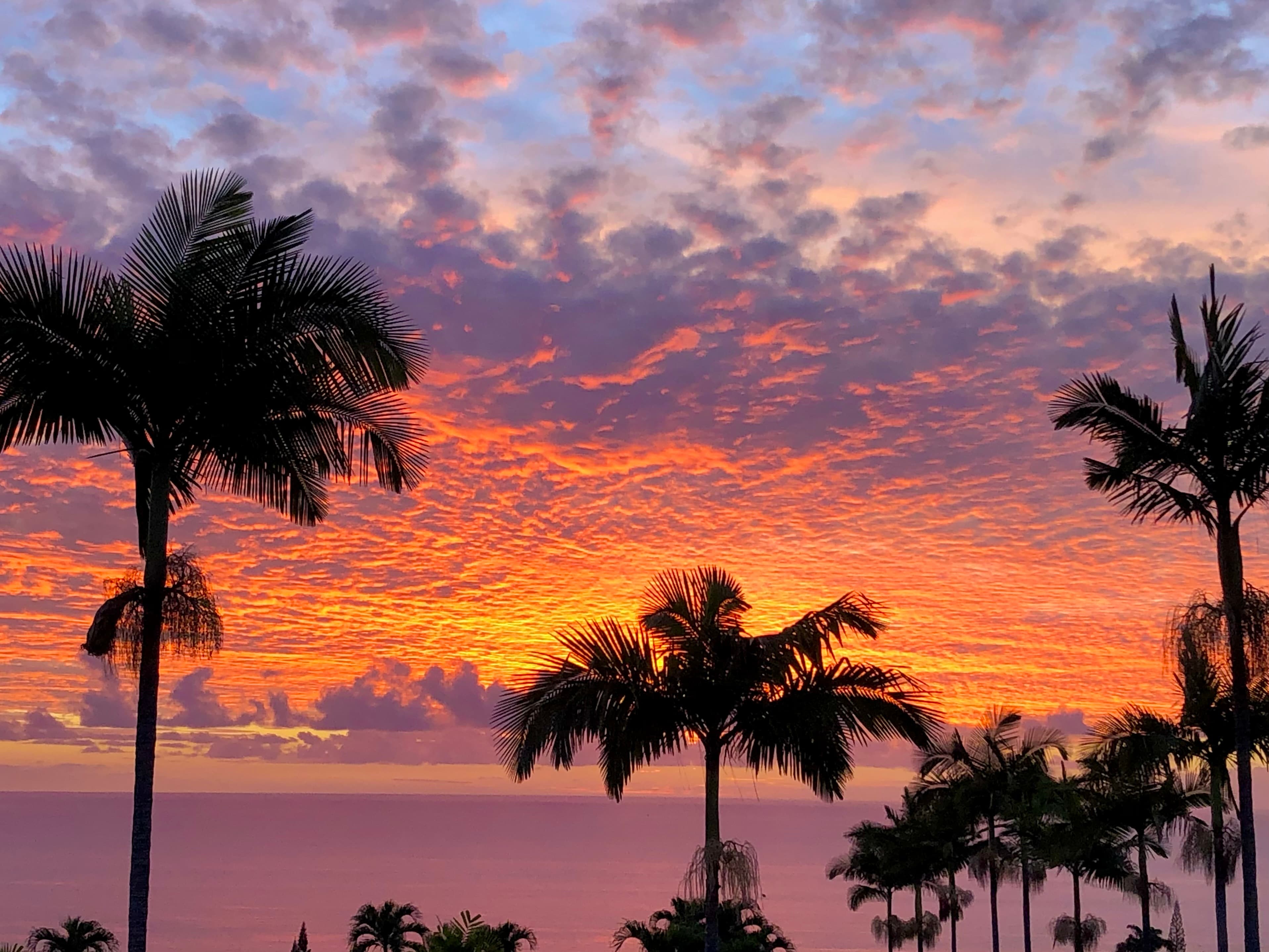 Super El Niño 2026-27 in Hawaii: What This Winter Could Bring