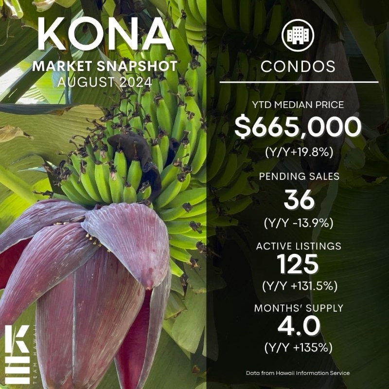 Kona Real Estate Market Update