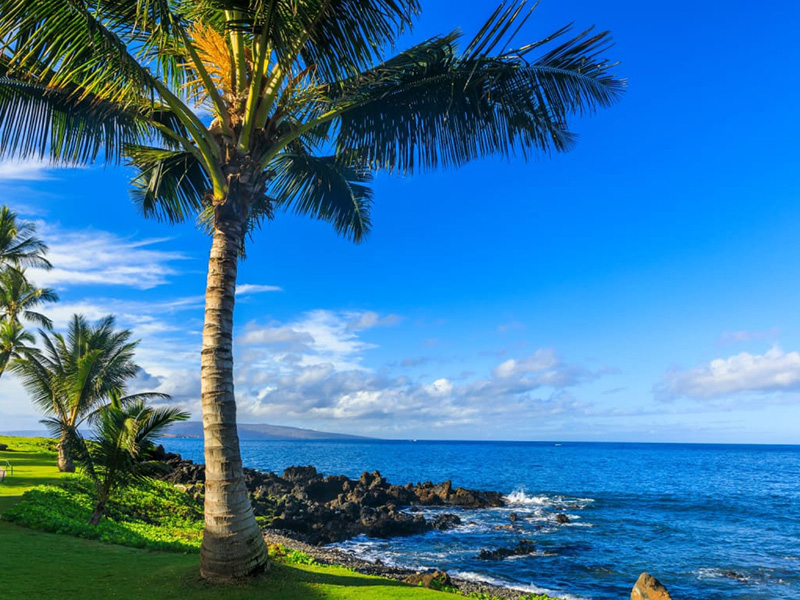 Kailua-Kona Real Estate & Homes for Sale