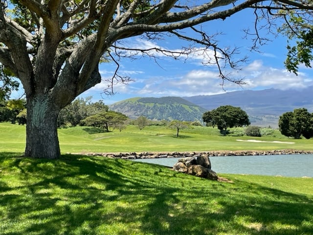 Lush green landscape with a large tree, serene water body, and distant mountains, reflecting the natural beauty of Hawaii's real estate environment.