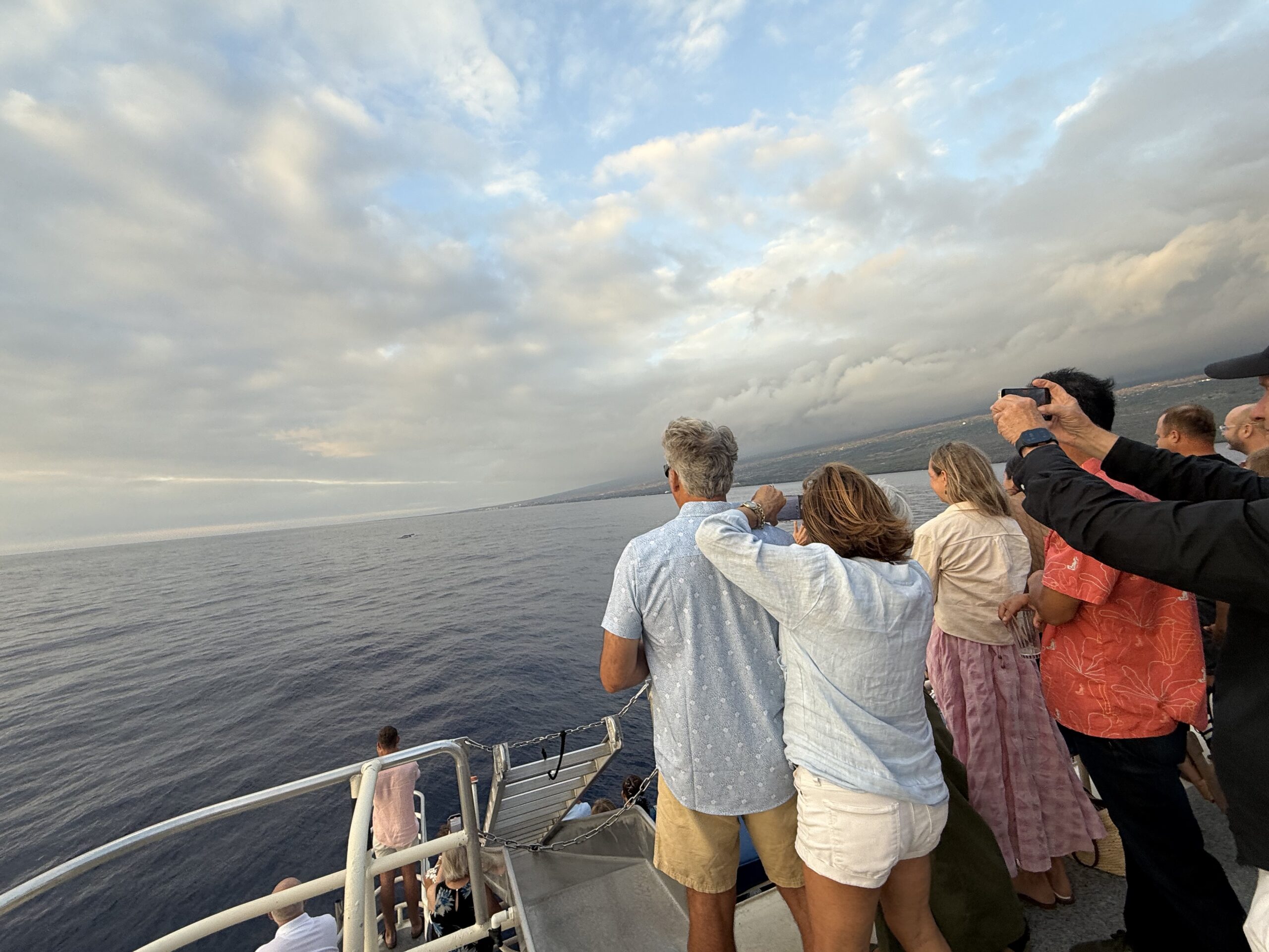 Humpback Whales, Kona, and the Sanctuary That Protects Them
