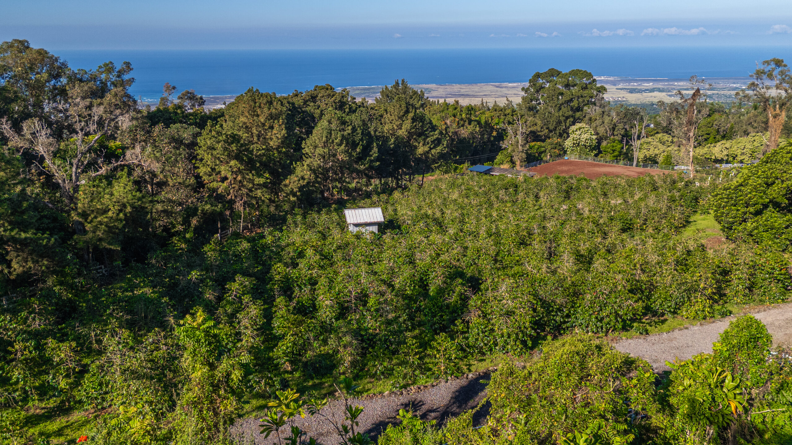 Kona Pricing Strategy in 2026: What the Price of Time Still Teaches Sellers